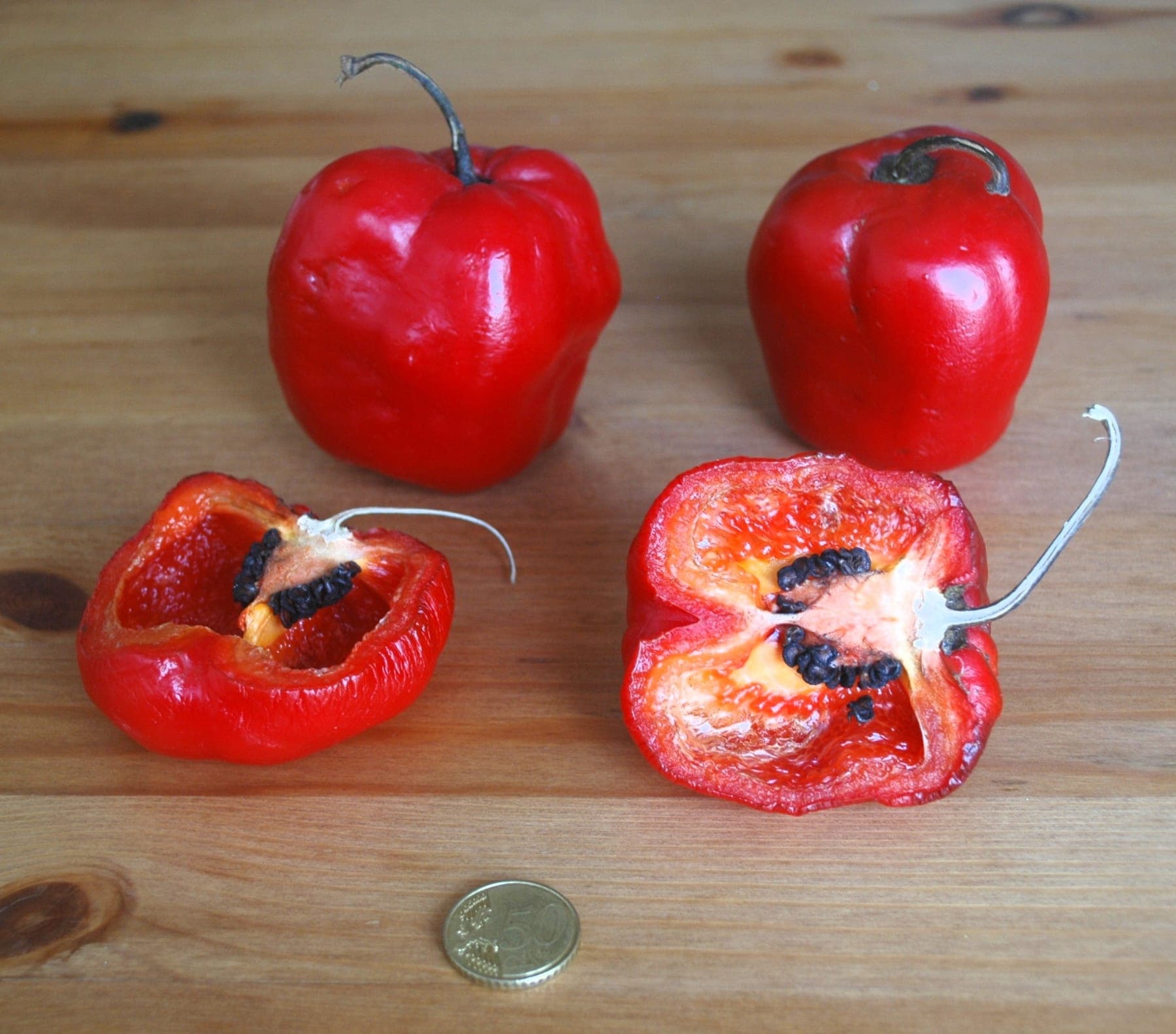 Een rocoto, doorgesneden: de zwarte zaden verraden hem meteen.